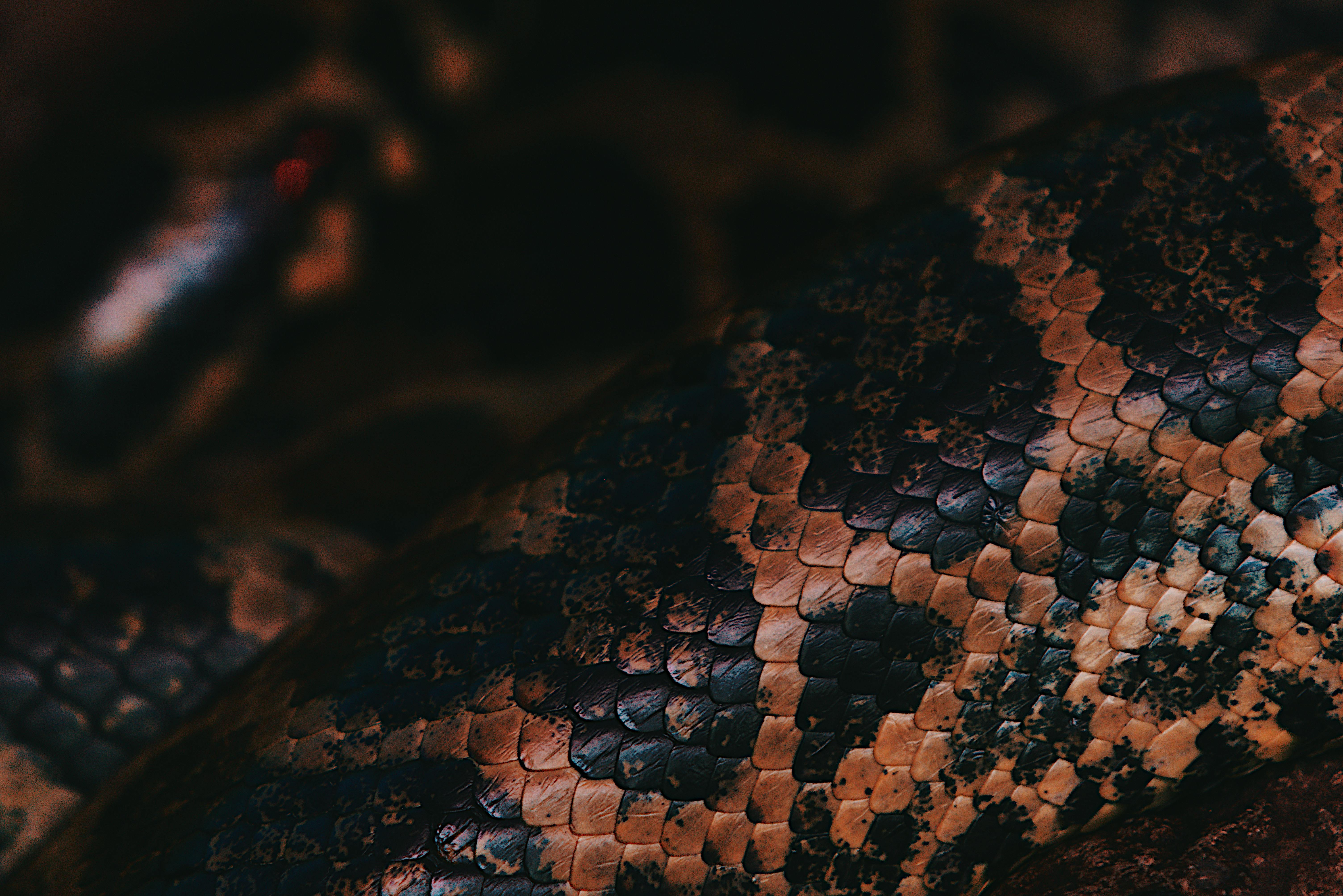 estragos-de-resenas-falsas